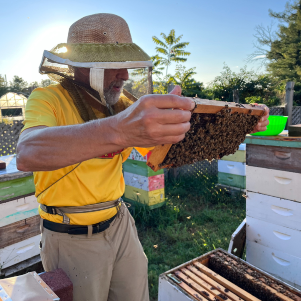 Vincent Aloyo with wearing Beekeeping Gear holding a slide of honeycomb 
